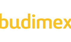 Logo_Budimex_www